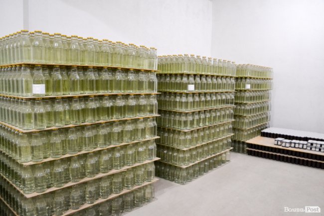 Природа – не на карантині: у волинських лісах збирають березовий сік для декількох континентів. ФОТО