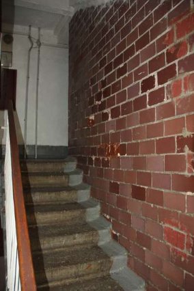 Дірявий дах, пліснява і таргани: скільки платять та як живуть мешканці гуртожитків СНУ. ФОТО