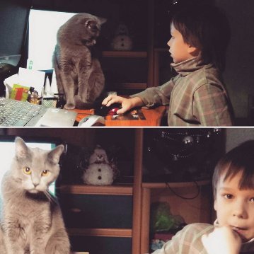 «Мені 33 роки, а я не вмію робити того, що робить моя дитина у сім», - мама лучанина-аутиста