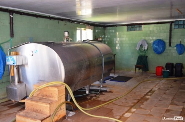 У волинському «Романові» корів купував навіть «Рошен»