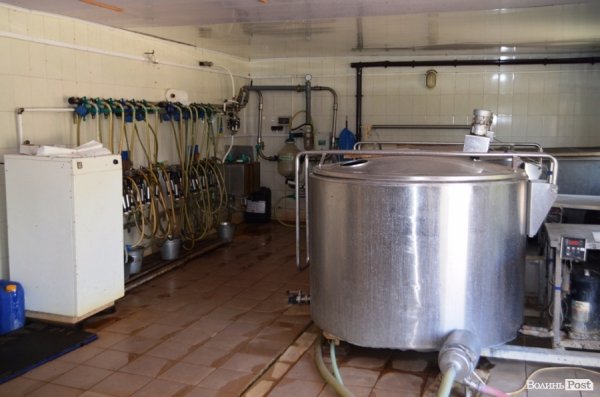 У волинському «Романові» корів купував навіть «Рошен»