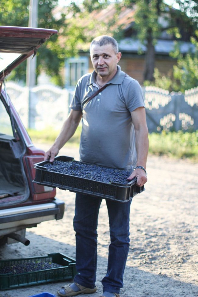 Ліс був завжди: історія волинського села, де все міряють ягодами