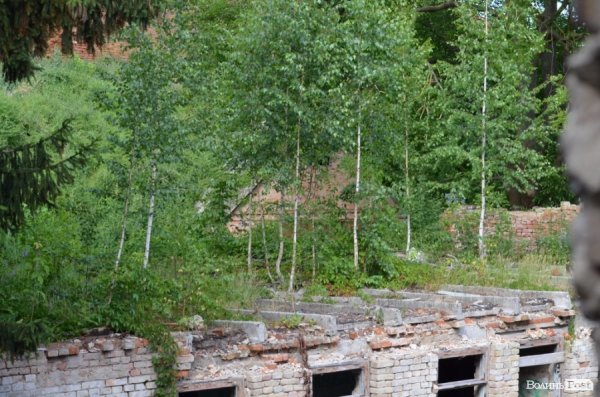 Під Луцьким замком «звили гніздо» наркомани. ФОТО 