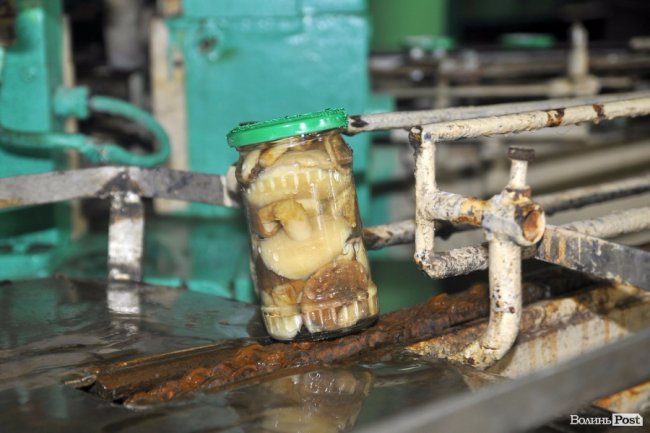 Маневицькими грибами смакуватиме Європа