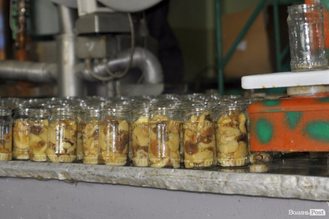 Маневицькими грибами смакуватиме Європа