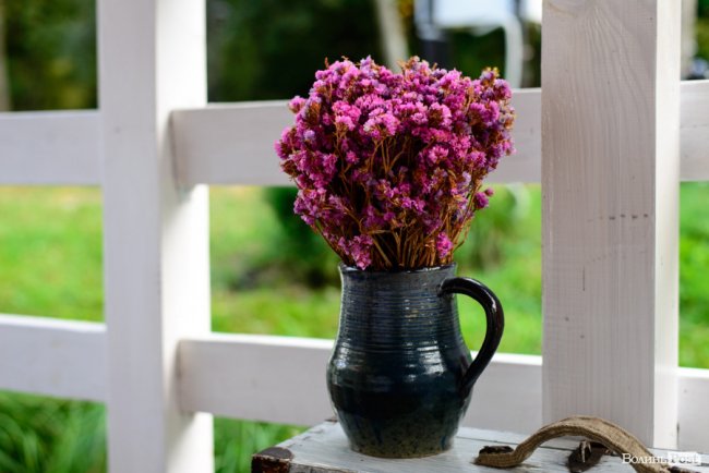 Бренди серед дрантя: як лучанка заробляє, продаючи секонд-хенд в Instagram