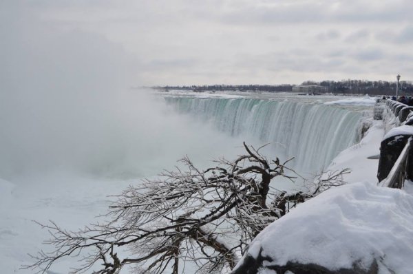 «Нотатки мандрівниці» Марії Мовшук: студенти в піжамі, «забиті» холодильники та українці в Канаді