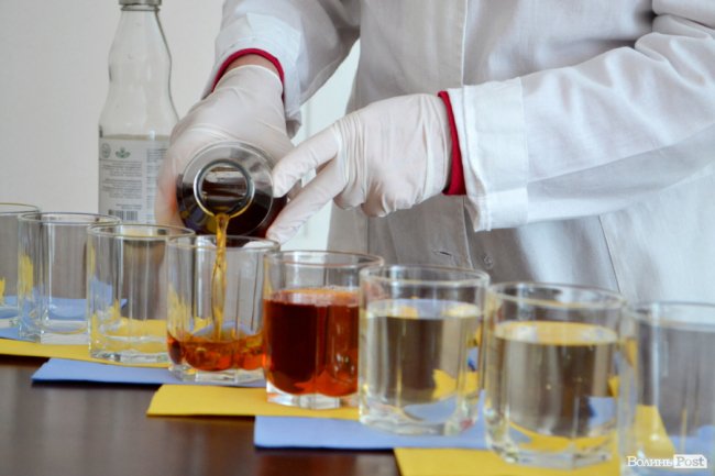 Природа – не на карантині: у волинських лісах збирають березовий сік для декількох континентів. ФОТО