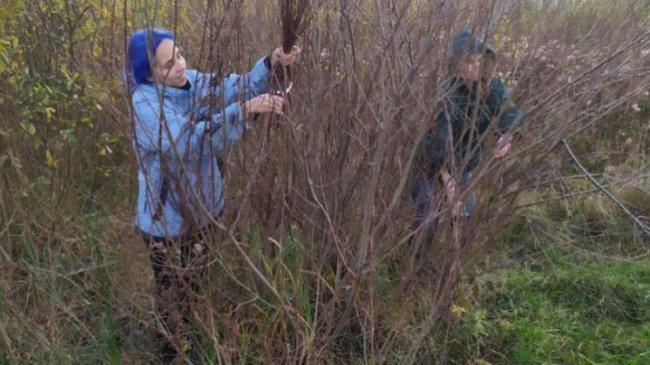 Культурна спадщина Волині: рецепти старовинних страв