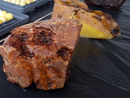 Надрокористування в Україні: як КП «Волиньприродресурс» представляло область на міжнародному рівні