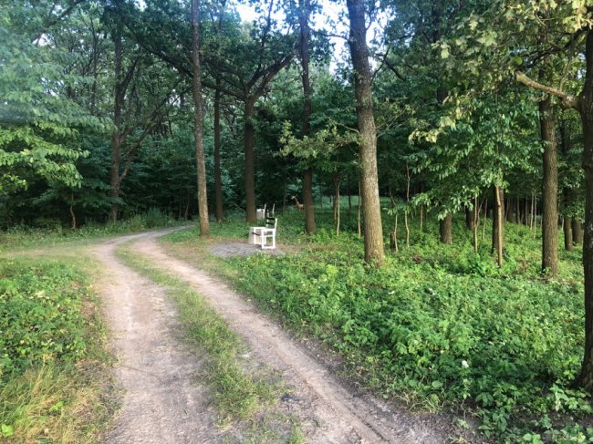 Вчені встановили три головнi умови щасливого життя* 