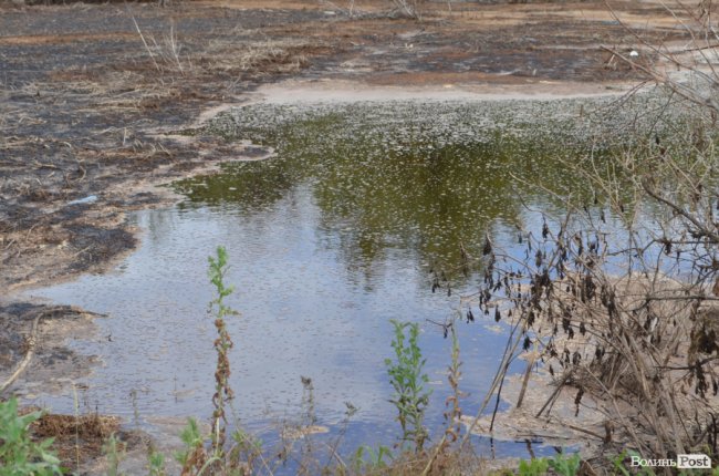 #МеніТутСмердюцько: чим тхне Луцьк. ФОТО