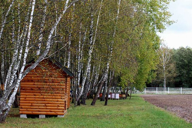 Стильний екоресторан і відкриття будинку мисливця: як на Волині руйнують стереотипи про лісове господарство. ФОТО