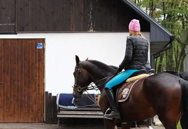 Стильний екоресторан і відкриття будинку мисливця: як на Волині руйнують стереотипи про лісове господарство. ФОТО