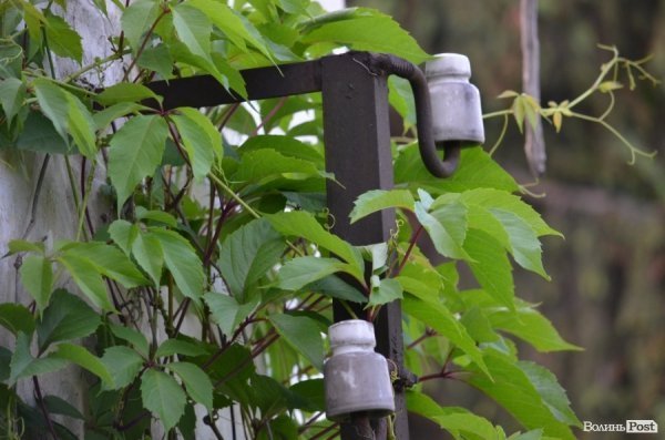 Під Луцьким замком «звили гніздо» наркомани. ФОТО 