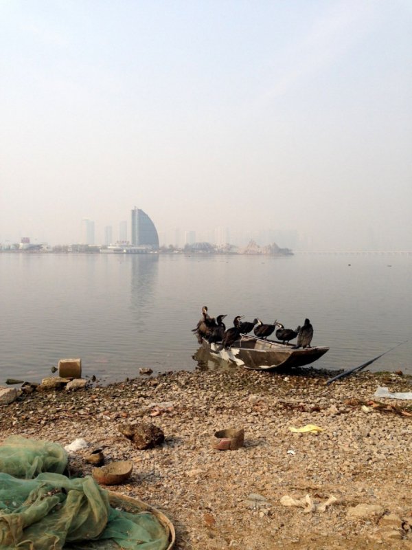 «Нотатки мандрівниці» Христини Лесюк: китайські підробки,  побиті діти та «3 пісюни»