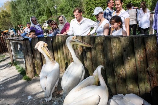 Псевдоєвропейський Луцьк  Або Чому у Рівному кращий зоопарк? ФОТО