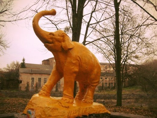 Як луцький слон міняв кольори