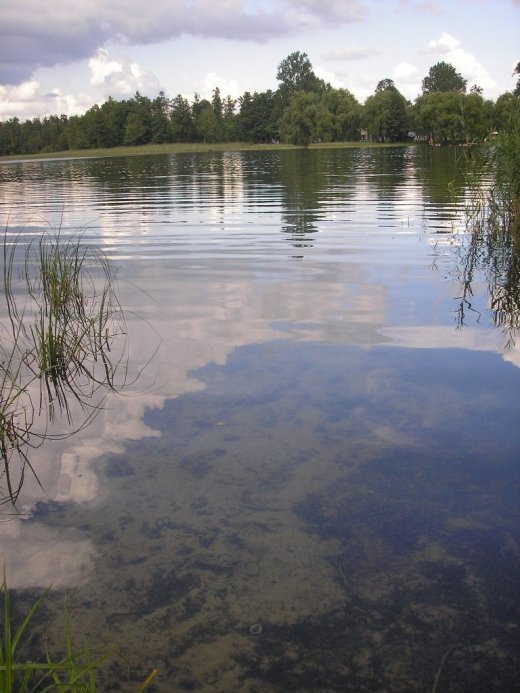 З волинського Полісся з любов’ю 