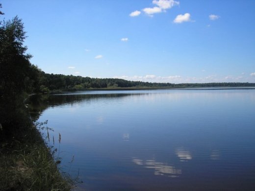 З волинського Полісся з любов’ю 