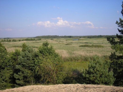 Край волинської ойкумени