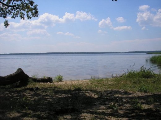 З волинського Полісся з любов’ю 