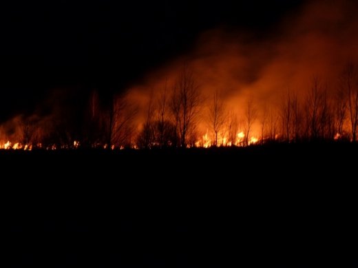 Знущання над Волинською землею триває