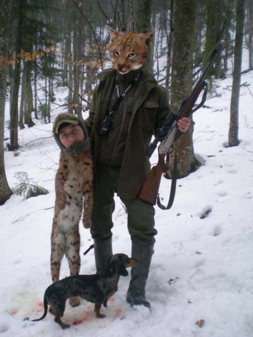 Хто бачив поліського тигра?