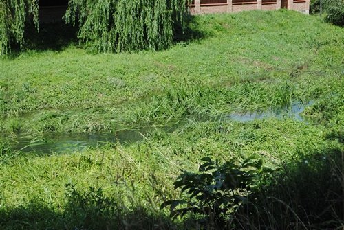 Луцьк. Постпотопельні кадри