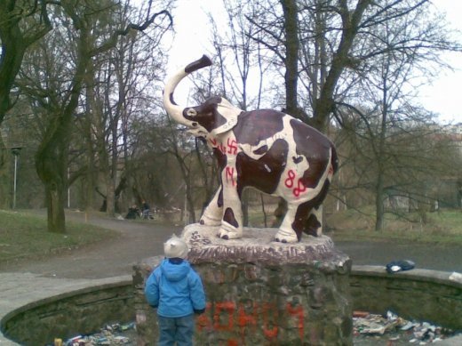 Як луцький слон міняв кольори