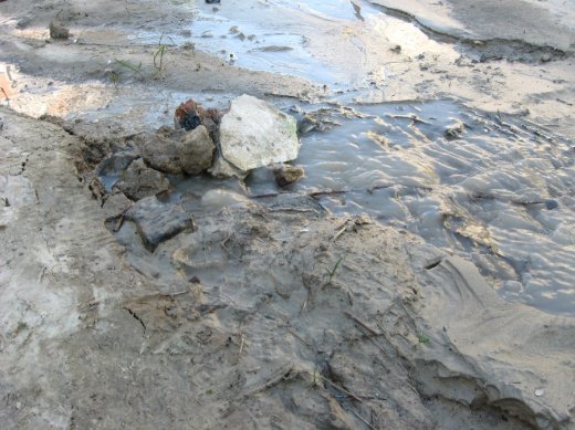 Життєдайне джерело Кубіцького