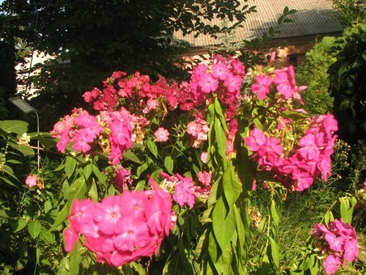 Кременець: місто церков і контрастів 