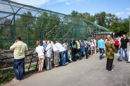 Псевдоєвропейський Луцьк  Або Чому у Рівному кращий зоопарк? ФОТО