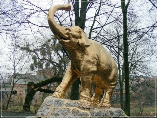 «Неформатний» Луцьк: місцями слави та рок-н-роллу