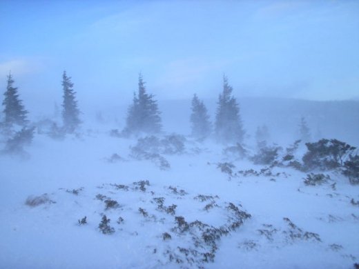 Там, де живе зима