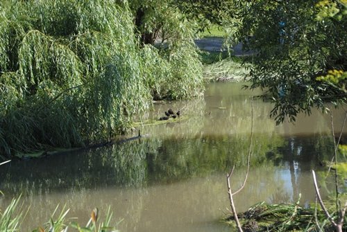 Луцьк. Постпотопельні кадри