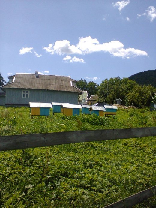 Мандрівка Прикарпаттям. Косівщина