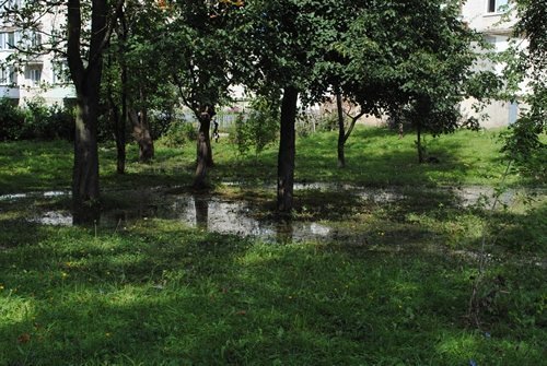 Луцьк. Постпотопельні кадри