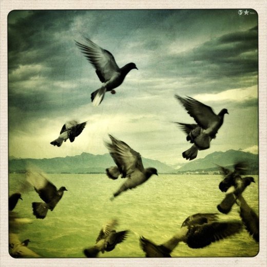 Життя прекрасне. РОЗДІЛ 8