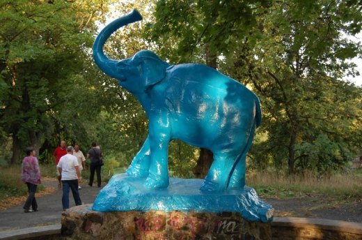 Як луцький слон міняв кольори