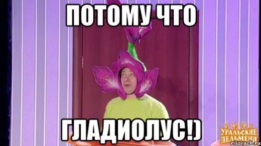А тому, що гладіолус