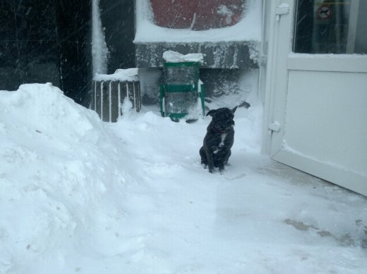 Сніжний Луцьк у неділю, або мій робочий день