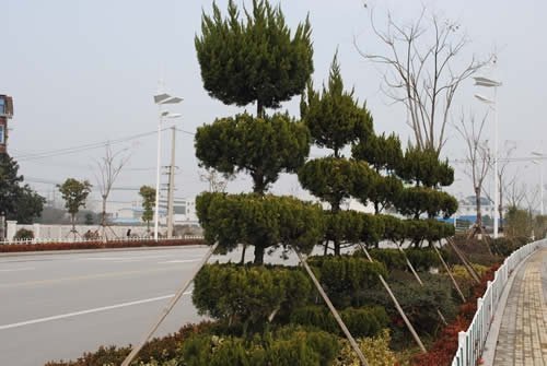 Про Китай. Різне