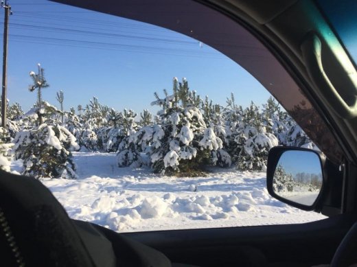 Український туризм: нерозроблена золота жила