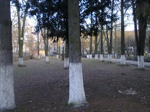 Гріє душу село, моє рідне село (с)