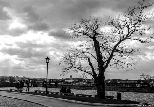 «Нотатки мандрівника»: Як місто королів підкорило моє серце