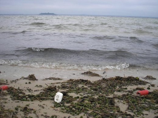 З волинського Полісся з любов’ю 