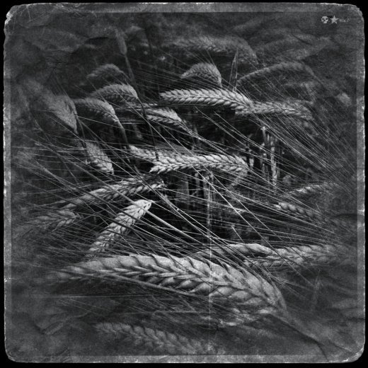 Життя прекрасне. РОЗДІЛ 14