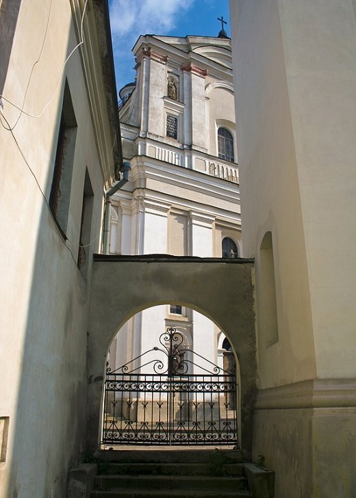 Луцька алергія на громадське