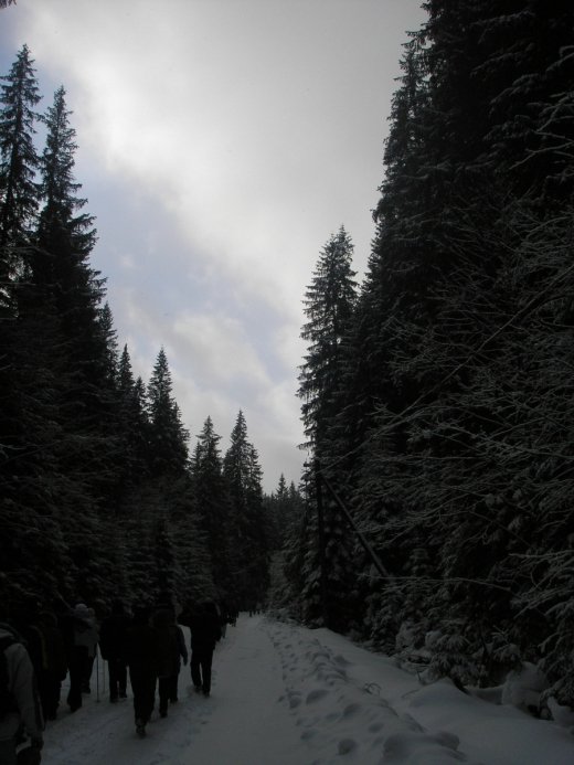 Там, де живе зима